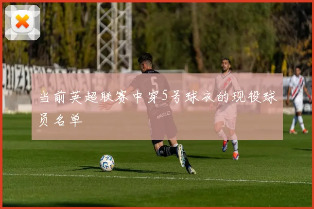 当前英超联赛中穿5号球衣的现役球员名单