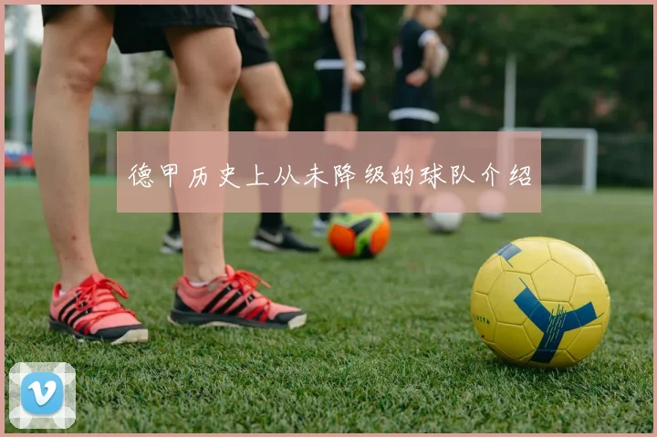 德甲历史上从未降级的球队介绍