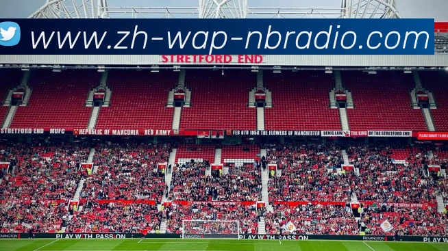 纬来体育服务体系